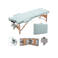 HOCC Professional 2 Section Foldable Massage Table for Salon, Ocean Green