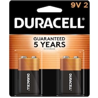 Picture of Duracell Alkaline Batteries, 9V, MN1604B2 - Pack of 2