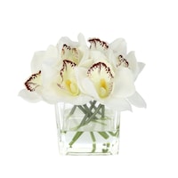 Artificial Cymbidium With Square Shaped Vase with Moss, 10 x 10cm