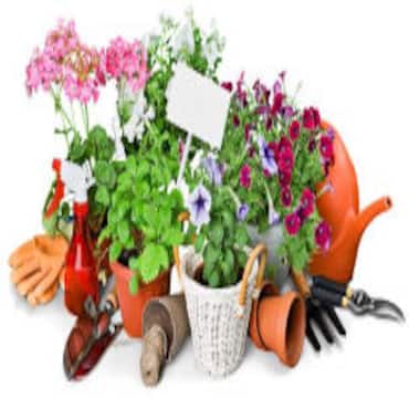 Picture for category Garden Pots & Planters