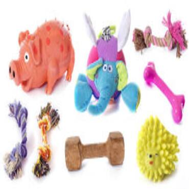 Picture for category Dog Toys