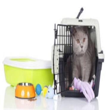 Picture for category Cat Supplies