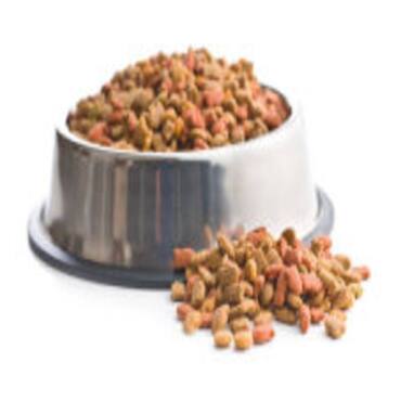 Picture for category Cat Feeding & Watering Supplies