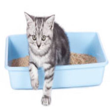 Picture for category Cat Litter Boxes
