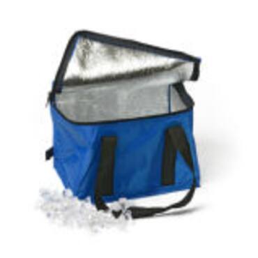 Picture for category Cooler Bags