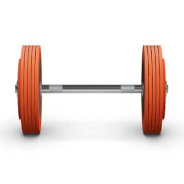 Picture for category Barbells