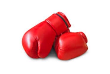 Picture for category Boxing