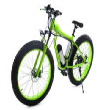 Picture for category Electric Bicycle