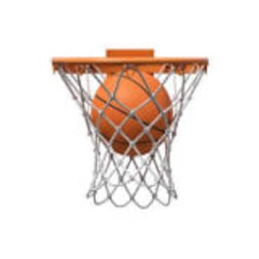 Picture for category Basketball Set