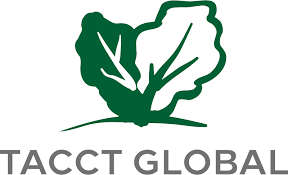 TACCT Global food and beverages trading LLC