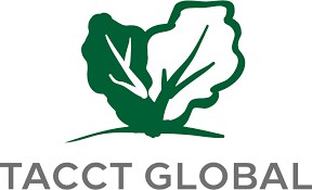 TACCT Global food and beverages trading LLC