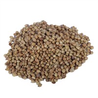 Picture of Zamani Herbs Iranian Coriander Seeds, 20kg