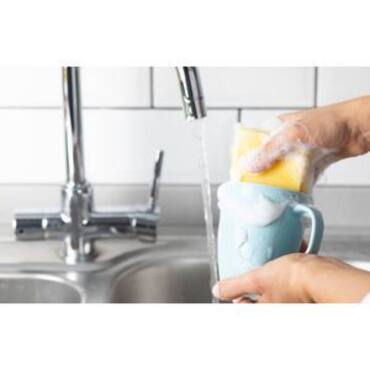 Picture for category Dishwashing Supplies