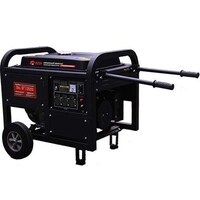 Picture of Edon Electric Generator, PT-RWD13000A