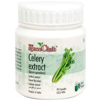 Picture of The Spice Club Celery Extract, 15 gm