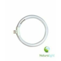 Picture of Daylight Naturalight Fluorescent Circular Replacement Tube, 12w