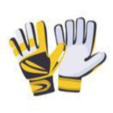 Picture for category Goalie Gloves