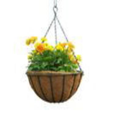 Picture for category Hanging Baskets
