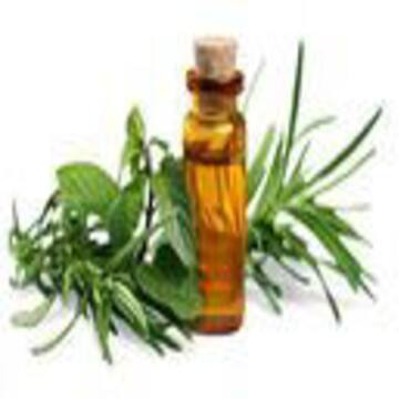 Picture for category Plant Extracts
