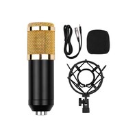 Picture of Professional Condenser Microphone Kit, I5913G
