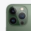 Picture of iPhone 13 Pro Max Dual SIM 5G Smartphone 128GB, Face Time, International Specs, 6.7 inch - Alpine Green