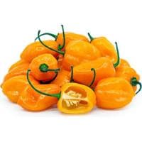 Picture of Fresh Habenero Peppers, 4kg, Yellow, 508 Pieces - Carton
