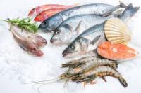 Fish and sea food