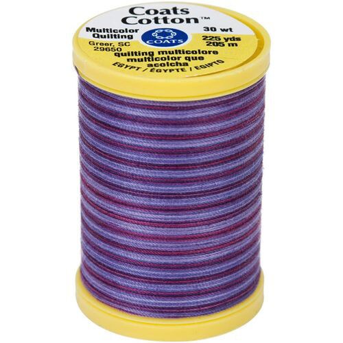 Coats & Clark Cotton Machine Quilting Multicolor Thread (225 Yards)