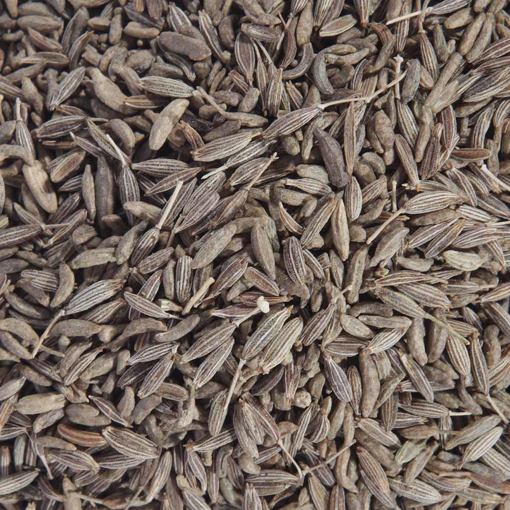 Buy Online Zamani Herbs Fresh Cumin Seeds, 25kg in UAE