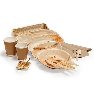 Picture for category Disposable Dinnerware Set