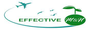 Effective M&N