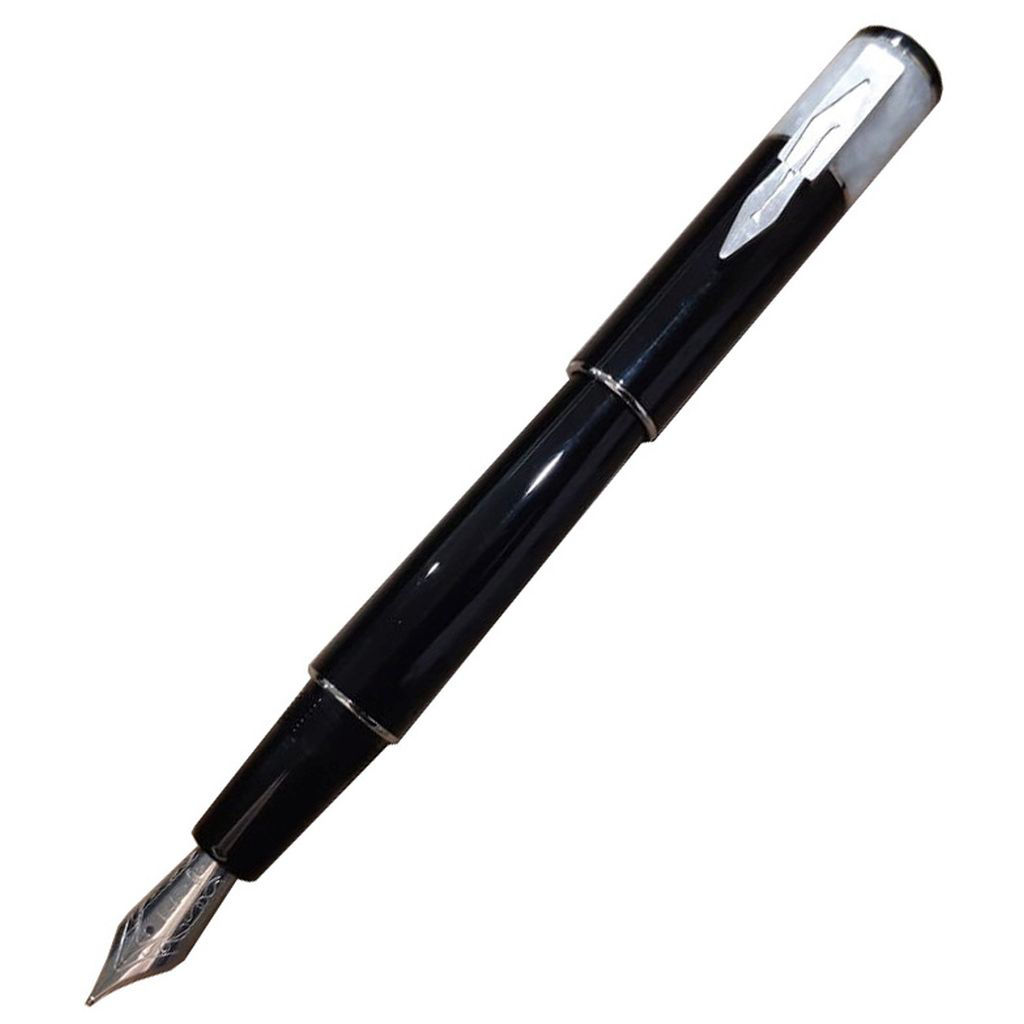 Picture of Delta Icon Black Resin With White Cap Fountain Pen, Broad Nib