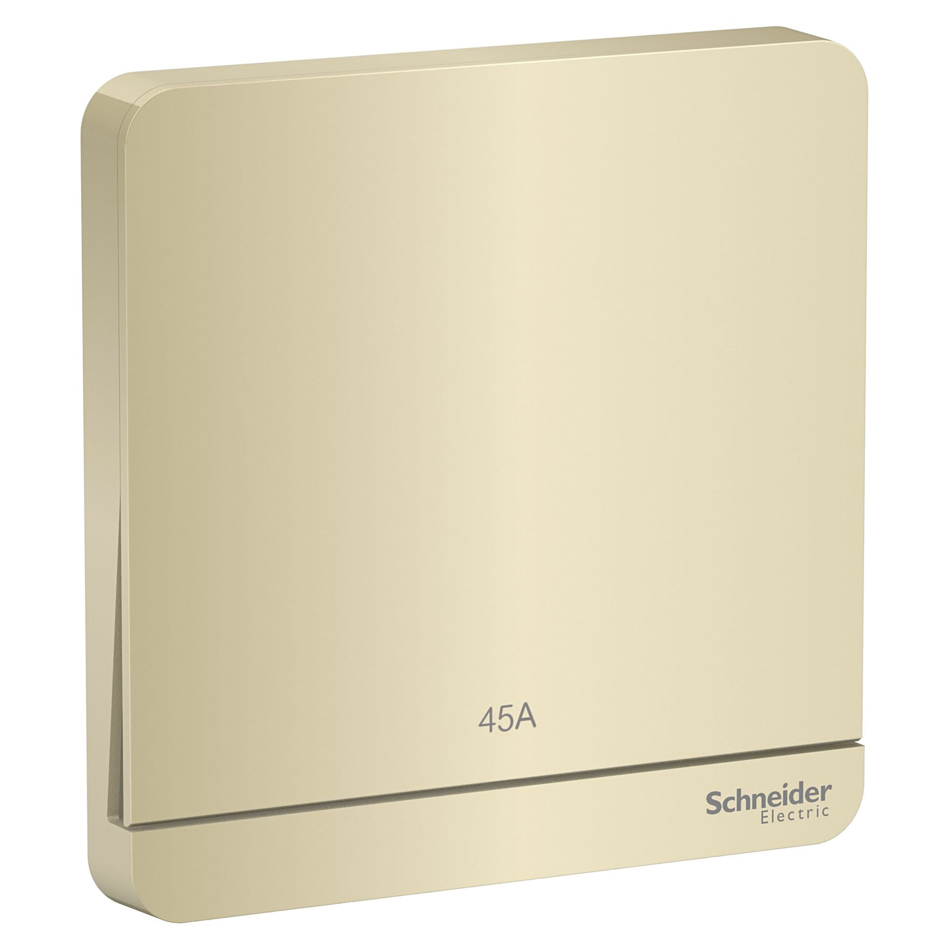 Picture of Schneider Electric Avatar 45A 1Gang 2-Pole Switch