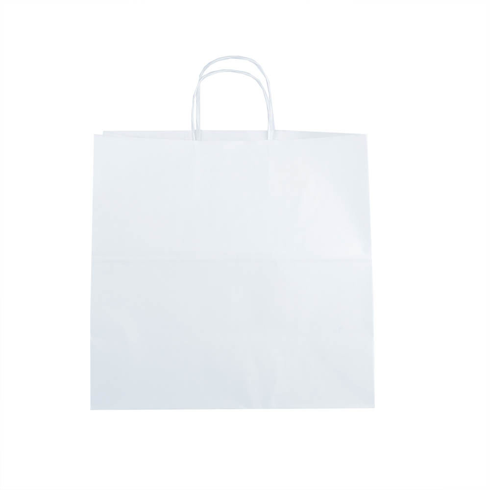 Picture of Paper Glotify Twisted Handle Paper Bags, White 