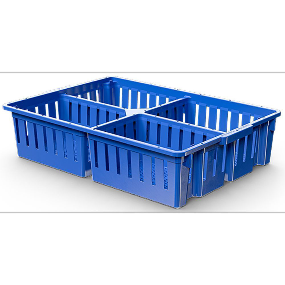 Chick Box 4 Compartments