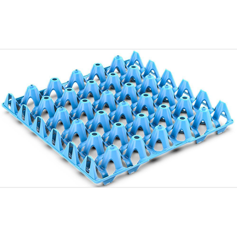 Standard Egg Tray